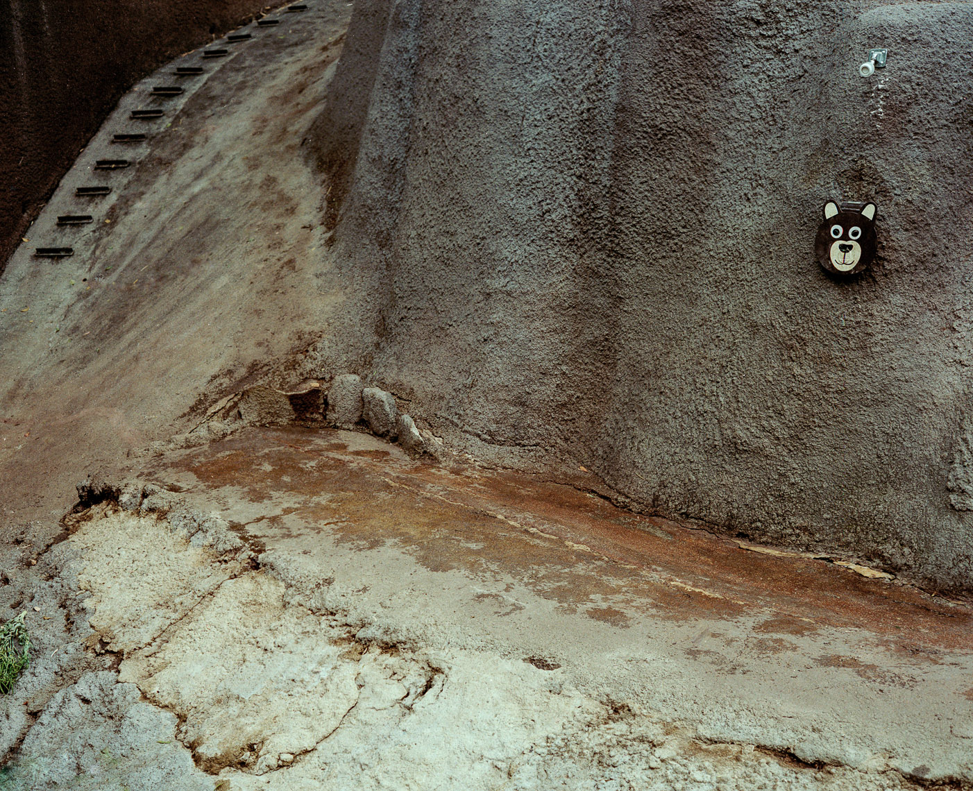 03_0601_04_01_zoo
