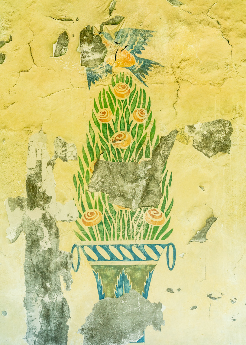 Painting of green bush with yellow flowers on wall with chipping plaster
