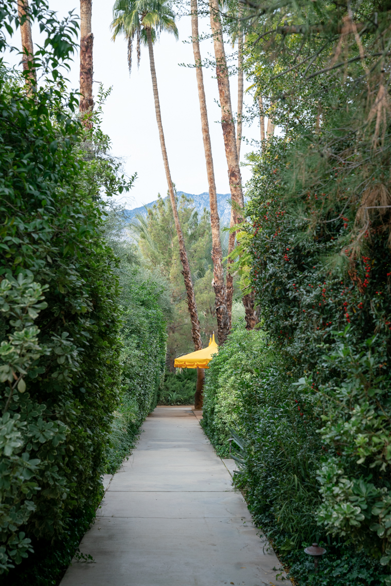 19_1221_palmsprings_006